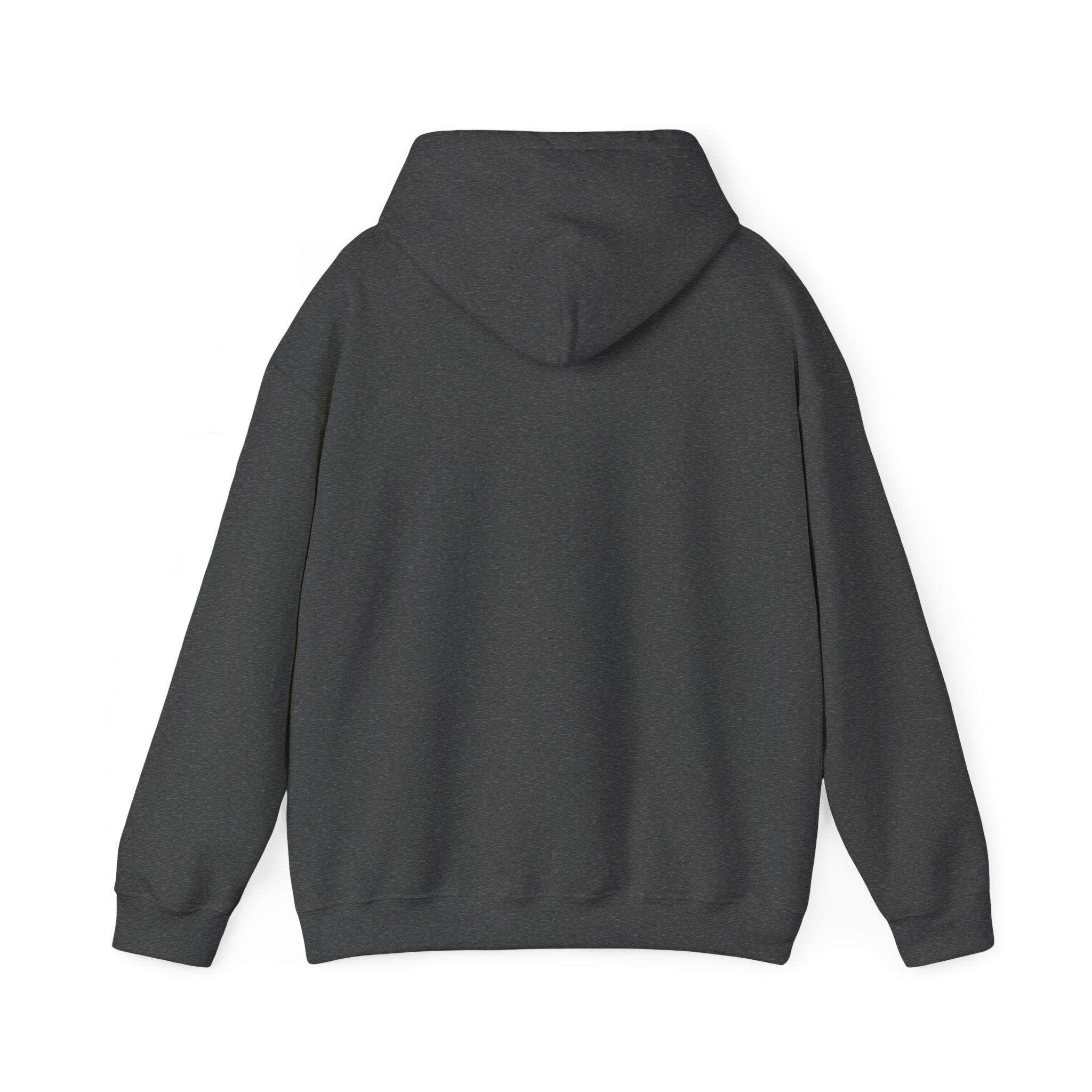 Let's Rebuild Tuskegee Hoodie - Community Fundraiser Pullover