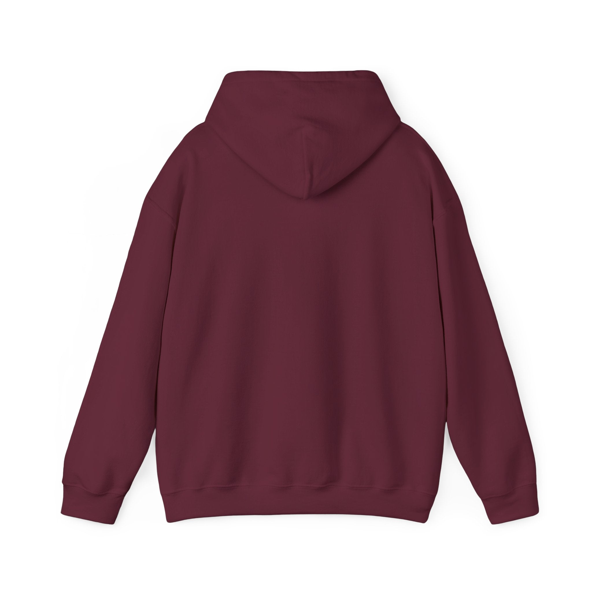 Let's Rebuild Tuskegee Hoodie - Community Fundraiser Pullover