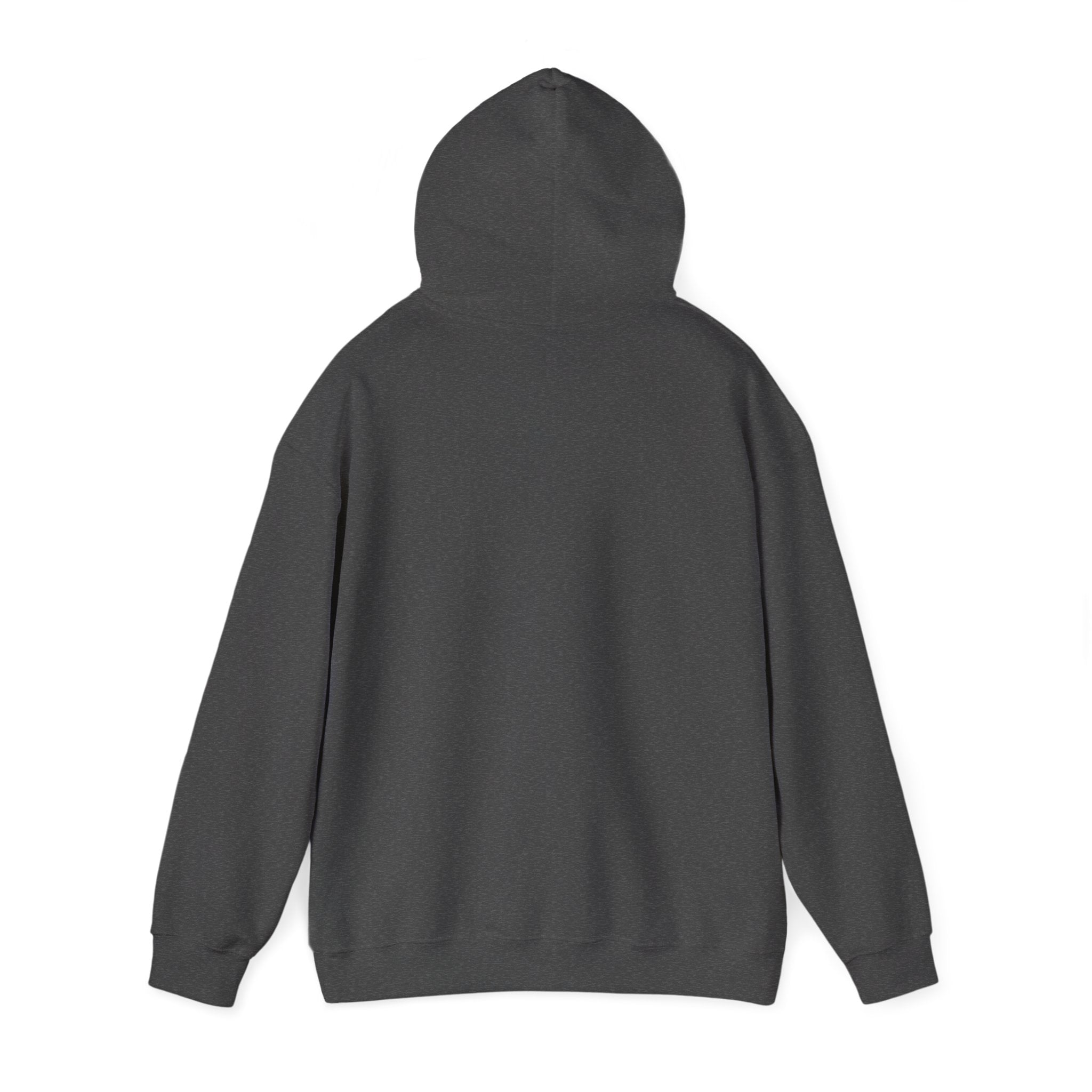Let's Rebuild Tuskegee Hoodie - Community Fundraiser Pullover