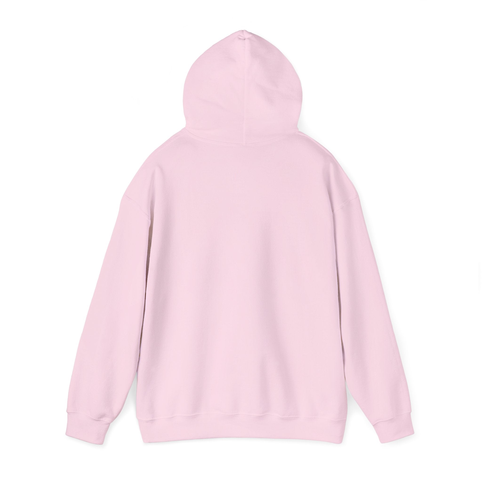 Let's Rebuild Tuskegee Hoodie - Community Fundraiser Pullover