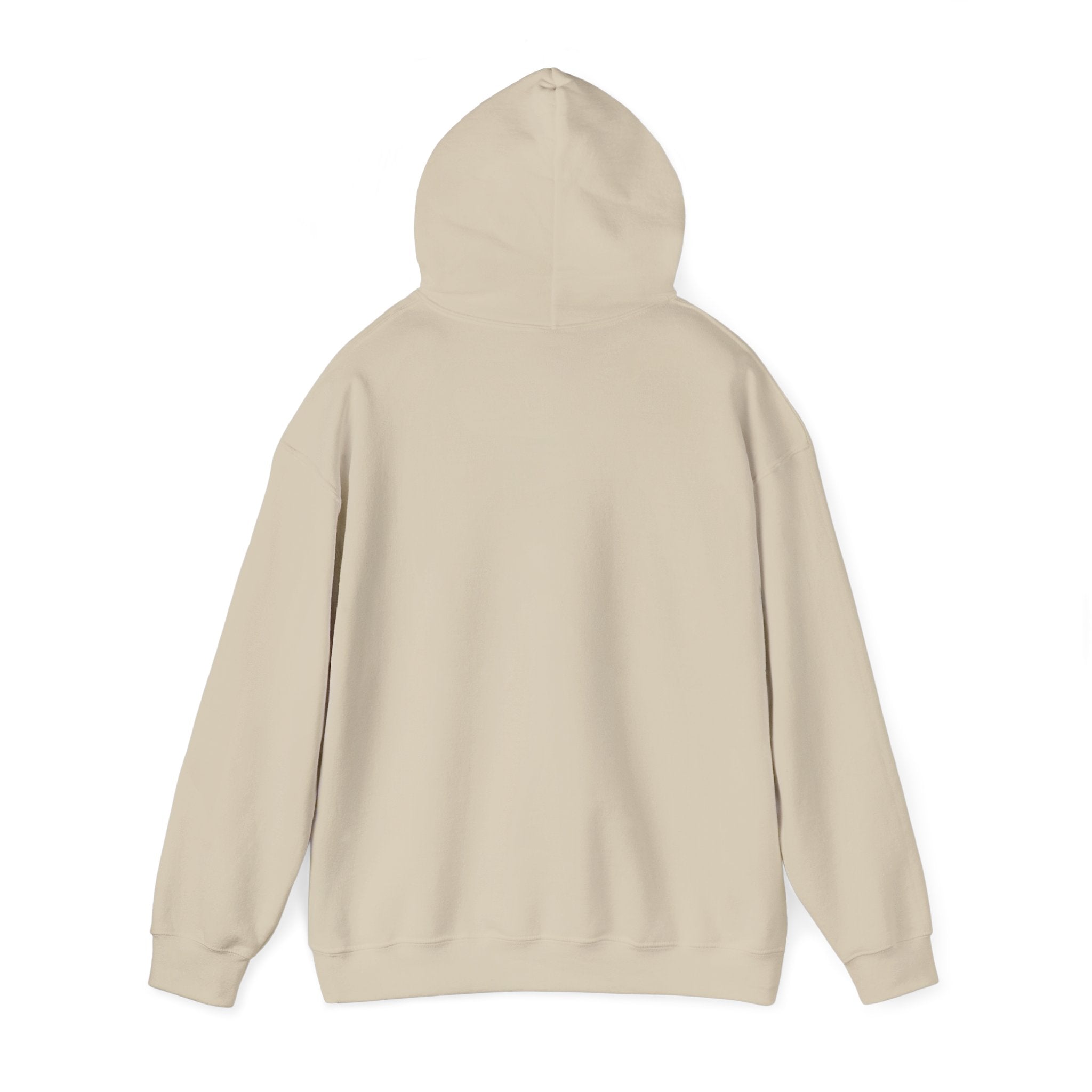 Let's Rebuild Tuskegee Hoodie - Community Fundraiser Pullover
